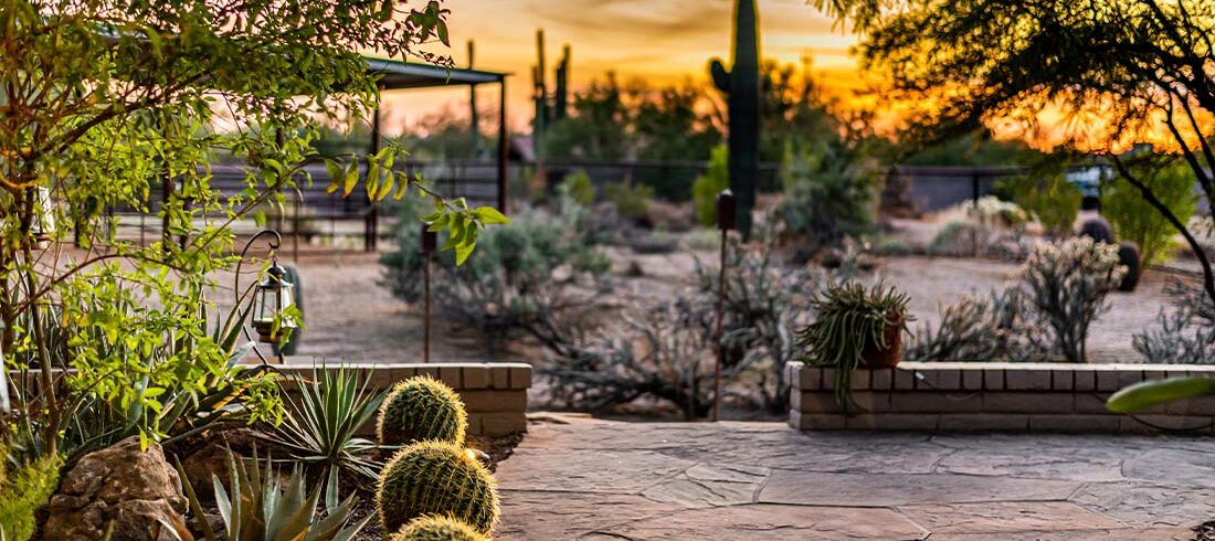 A stone pathway leads through a desert garden with cacti and other arid plants. A canopy structure and a sunset are visible in the background.