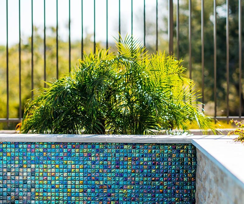 Close-up of an outdoor swimming pool with vibrant, multicolored mosaic tiles, beside a small green bush. There is a metal fence in the background with blurred greenery beyond.